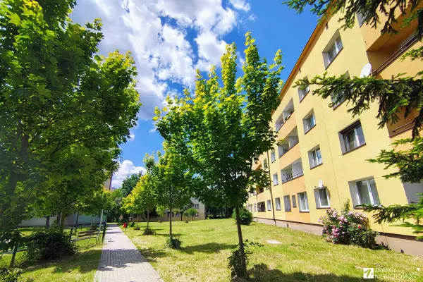 śląskie, Siemianowice Śląskie, Emilii Plater, Parter duża kawalerka, możliwe 2 pok. okna dwustr.